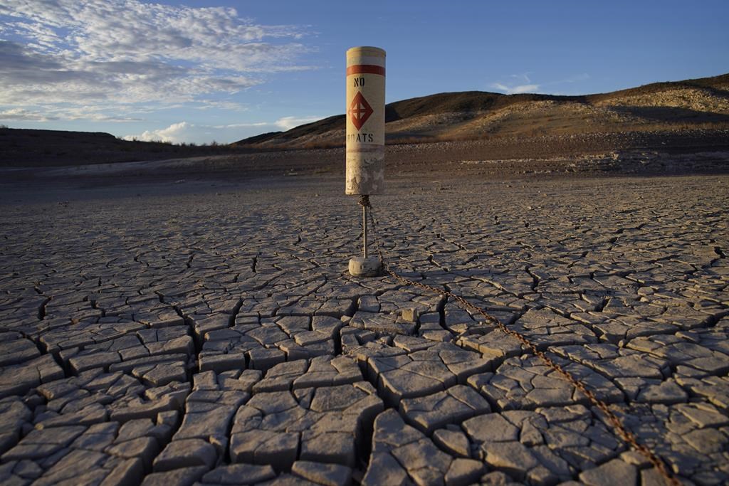 Les États frappés par la sécheresse recevront moins d’eau du fleuve Colorado
